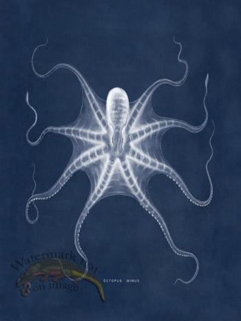 Octopus Blue 22